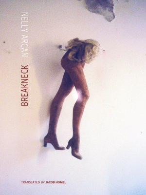 cover image of Breakneck